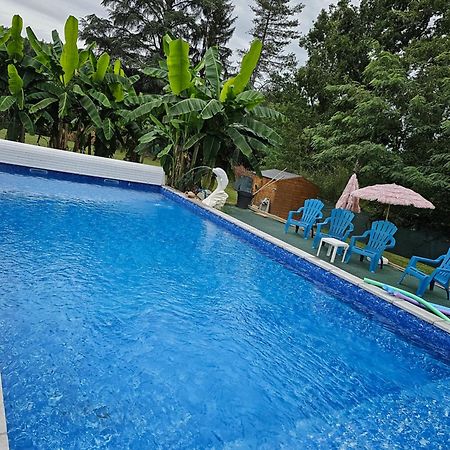 Bed and Breakfast Domaine Mon Doux Reve Terrasson Exterior foto